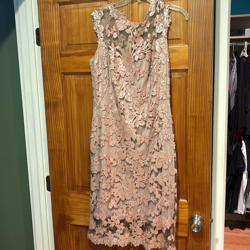 Tadashi Shoji Lace Dress